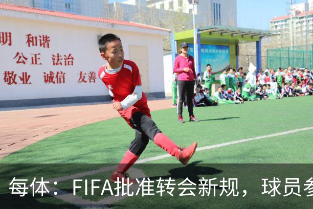 每体：FIFA批准转会新规，球员参与转会决策合同中必须有解约条款